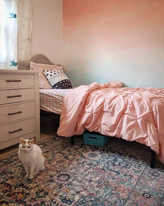 Stuck inside all day means fiercely cleaning and reorganizing everything in sight. Trying this rug in her room for now. Cat approves, as per usual. 😻
#ombrewall #pinkandblue #girlsbedroomdecor  #kidsroom #catsofinstagram